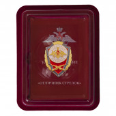 Нагрудный знак Отличник стрелок