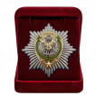 Нагрудный знак Пограничная служба Республики Беларусь