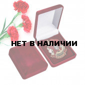 Нагрудный знак Ударнику