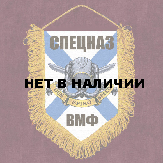 Настенный вымпел "Спецназ ВМФ"