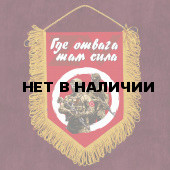 Настенный вымпел ZVO Где отвага, там сила