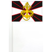 Новый флаг Морской пехоты на палочке