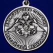 Памятная медаль За службу в ВМФ