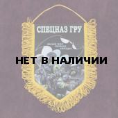 Памятный вымпел о службе в Спецназе ГРУ