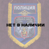 Памятный вымпел "Полиция"