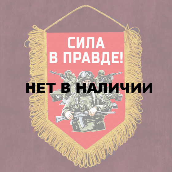 Памятный вымпел Сила в правде!