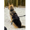 Прочный нейлоновый жилет для собак Molle Patrol K9 (черный)