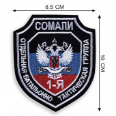 Шеврон ДНР 1-я отдельная батальонно-тактическая группа Сомали
