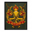 Шеврон "Штурм" (10х8см)