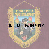 Сувенирный вымпел 49 ОДнПСКр Полесск