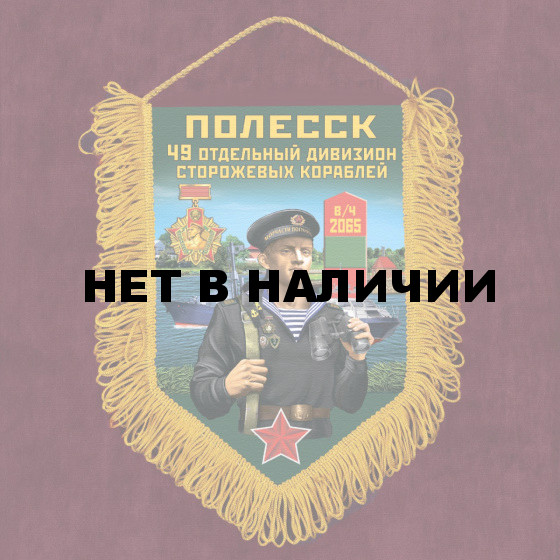 Сувенирный вымпел 49 ОДнПСКр Полесск