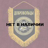 Сувенирный вымпел Добровольцы