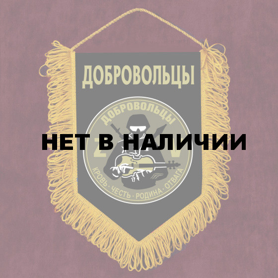 Сувенирный вымпел Добровольцы