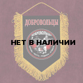 Сувенирный вымпел с шевроном Добровольцы