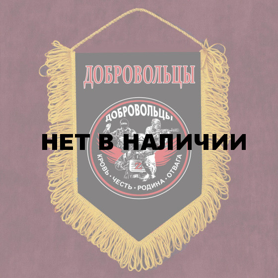 Сувенирный вымпел с шевроном Добровольцы