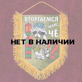 Сувенирный вымпел Вторгаемся или чё?