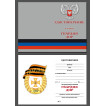 Знак Гвардия ДНР на подставке