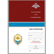 Знак Отличник ВВС