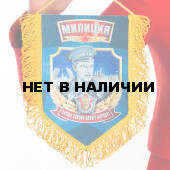 Вымпел в машину Милиция