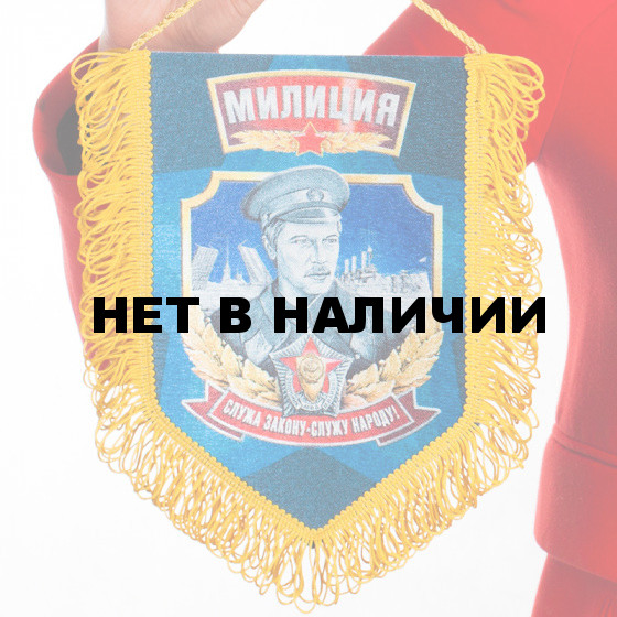Вымпел в машину Милиция