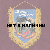 Яркий вымпел 2 ОБрСпН ГРУ