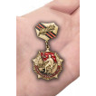 Знак 25 лет Победы в Великой Отечественной войне