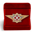 Знак ФСИН Мастер в футляре