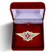 Знак ФСИН Специалист 1 класса в бархатистом футляре