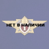 Знак Классный специалист МЧС 1-го класса