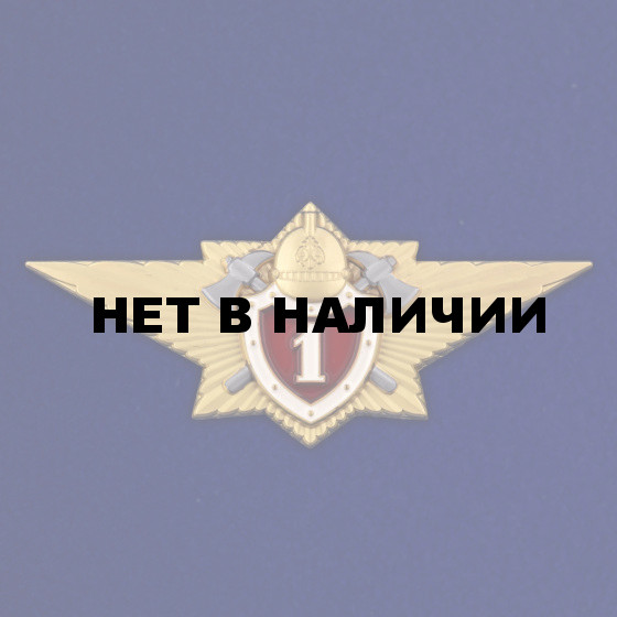 Знак Классный специалист МЧС 1-го класса