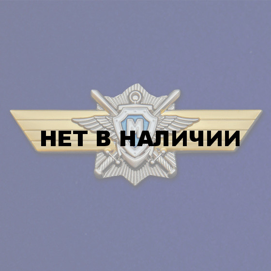 Знак МО РФКлассная квалификация Мастер