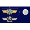 Знак МО РФКлассная квалификация Специалист 3-го класса