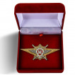 Знак РосгвардииКлассная квалификация (Мастер) в футляре