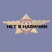 Знак Роты Почетного Караула (Общевойсковой)