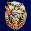 Нагрудный знак За службу в войсках РХБЗ на подставке