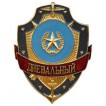 Нагрудный знак ДНЕВАЛЬНЫЙ металл