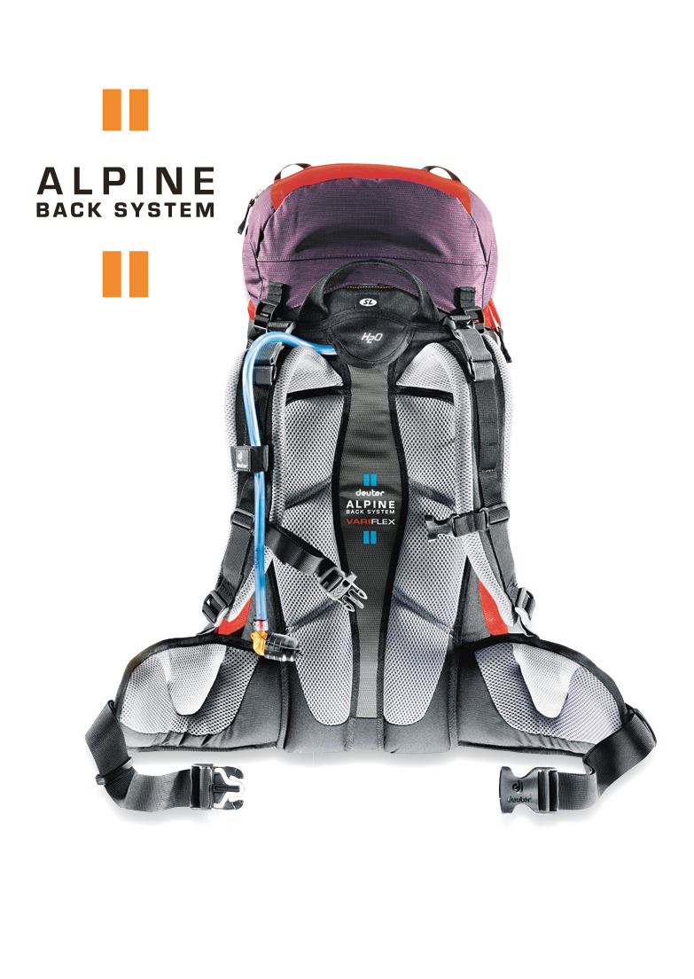 Система Deuter Alpine Back System