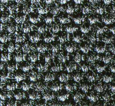 Deuter-Duratex