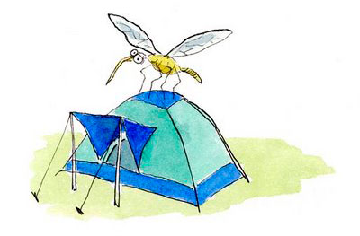 Комар на палатке
