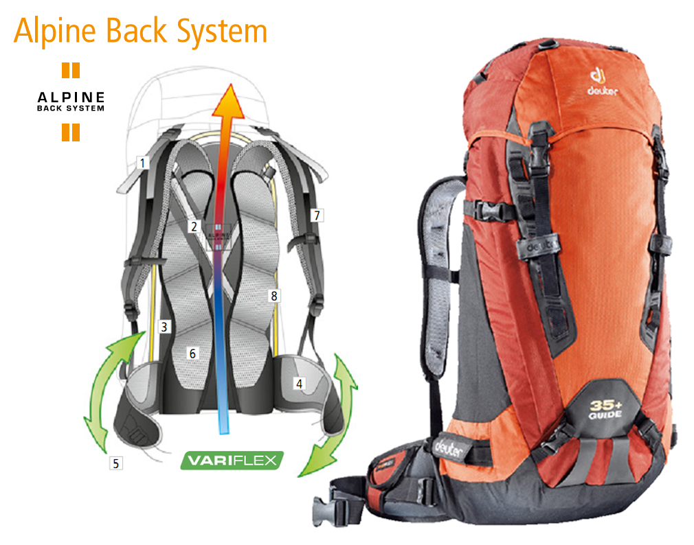 Система - Deuter Alpine Back System
