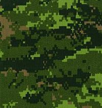 The CADPAT is an example of digital camouflage pattern