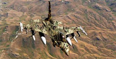 Aircraft painted in digital camouflage