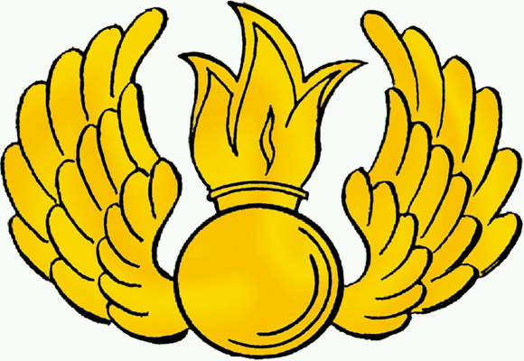 Эмблема воздушно-десантных войск: нашивки армии