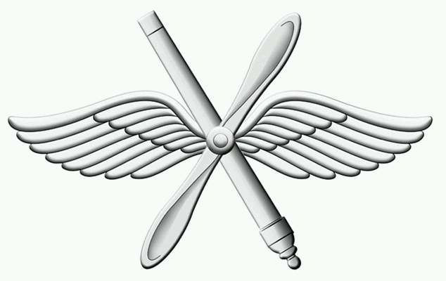 Эмблема военно-воздушных сил: нашивки армии