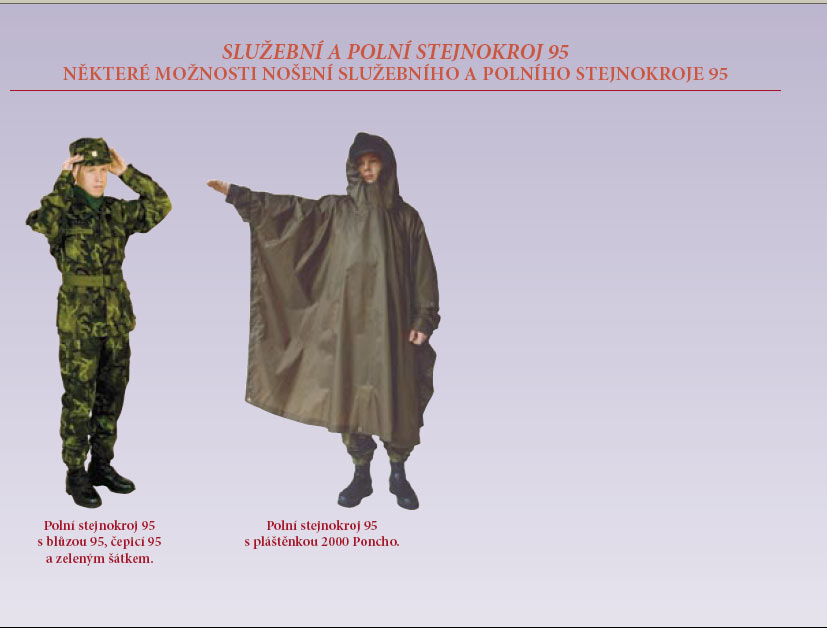 http://www.acr.army.cz/images/id_10001_11000/10983/polnistejnokroj1.jpg
