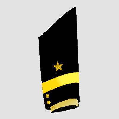 Капитан 1 ранга