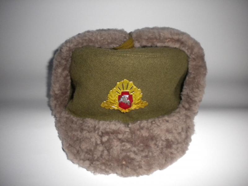 Зимняя шапка солдат и офицеров Вооруженных Сил Литвы