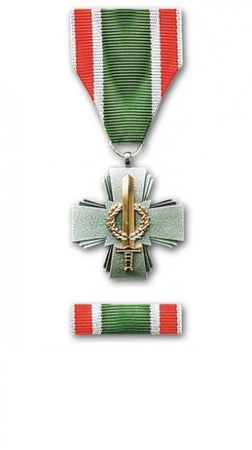 Медаль вооруженных сил Литвы за отличия сухопутных воиск