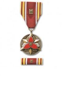 Медаль вооруженных сил Литвы за отличную службу в добровольных воиск охраны края 10 лет