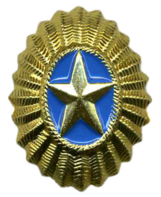 Кокарда офицерская Вооруженных Сил Казахстана